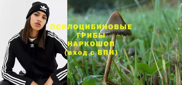 дживик Новокубанск