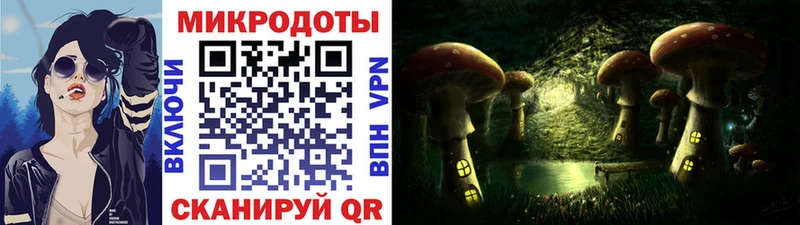 Галлюциногенные грибы Psilocybe Приволжск