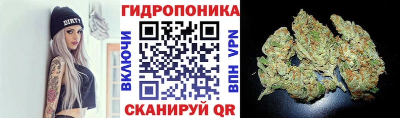 Канабис THC 21%  блэк спрут ТОР  Приволжск 